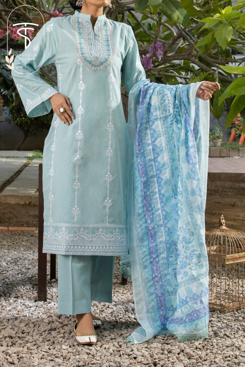 Nazm By Tasneem Shamim 3 Piece Unstitched Embroidered Lawn with Organza Dupatta 03-Ice Berg