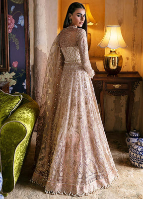 Hayat By Afrozeh Embroidered Net Suits Unstitched 3 Piece D-03 Sheemah