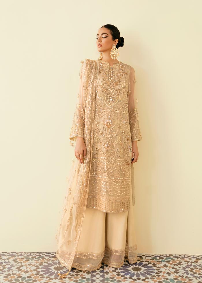 Amazona By Akbar Aslam Organza Embroidered Suit UN-1389 Skin
