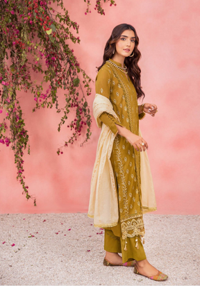 Nissa By RajBari Embroidered Exclusive Lawn Collection D-10