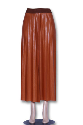 Shiny Ladies Skirt