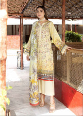 Aafreen by Riaz Arts Embroidered lawn Unstitched 3Piece suit AF-29